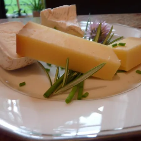 Domaine De Moulin Mer Logonna-Daoulas