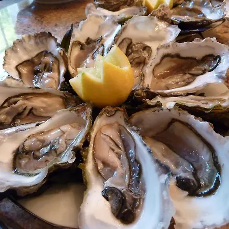 Domaine De Moulin Mer ゲストハウス 4*
